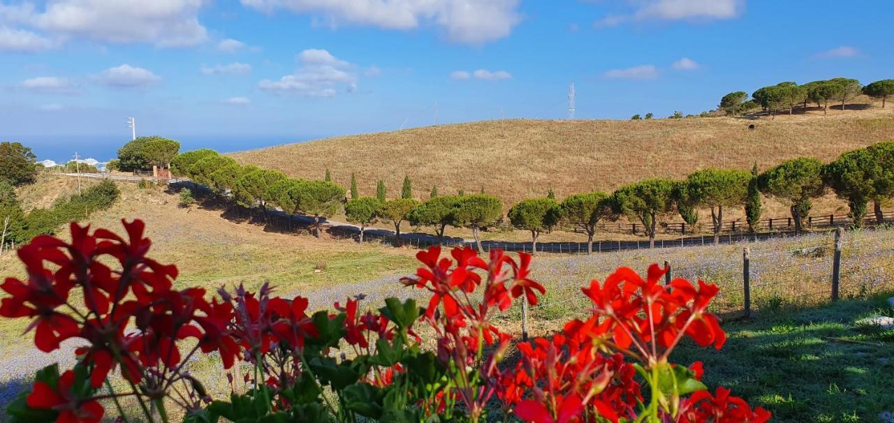 Hotel Tenuta Dell'Argento Resort Civitavecchia Exteriör bild